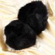 thumbnail image 5 of 1 par de calentadores de brazos de piel sintética negros, muñequeras peludas, banda elástica para muñeca, regalo de decoración para disfraces de fiesta de mujer, talla única, 5 of 7