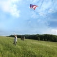 thumbnail image 3 of Mint's Colroful Life American Flag Delta Kite for Adults & Kids, Easy to Fly Kite Polyester, 3 of 7