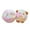 B, variant on Puhuiying Cute Plush Toy: Rabbit and Pig Dolls with Carrot and Strawberry Wrap,Perfect Easter Gift for Family and Kids(B)