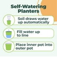 thumbnail image 5 of Window Garden Sow Much Fun Seed Starting, Vegetable Planting and Growing Kit for Kids, 3, 5 of 13
