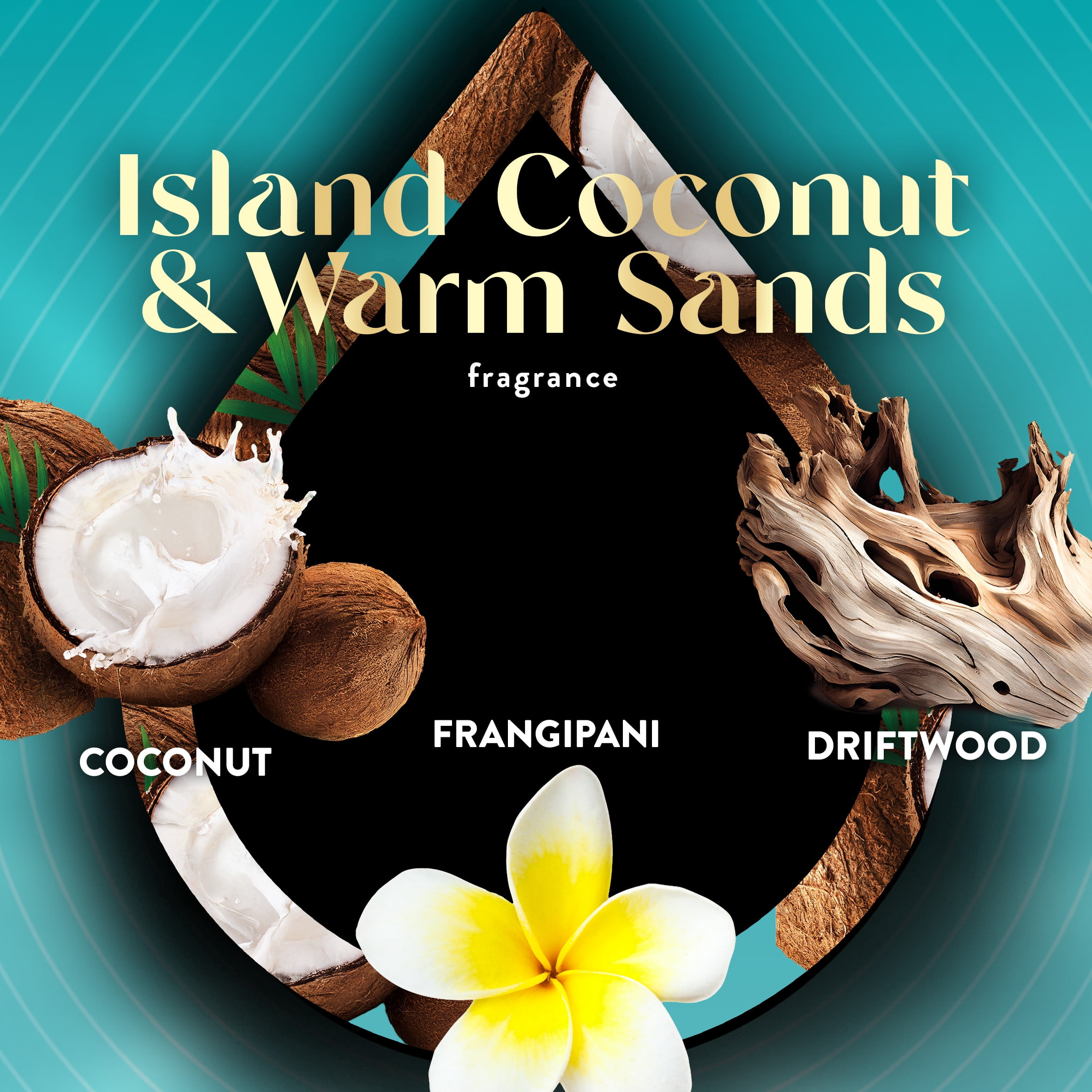 (6 pack) Air Wick Plug-in Vibrant Scented Oil Air Freshener Warmer Refills Island Coconut and Warm Sands 3 Count