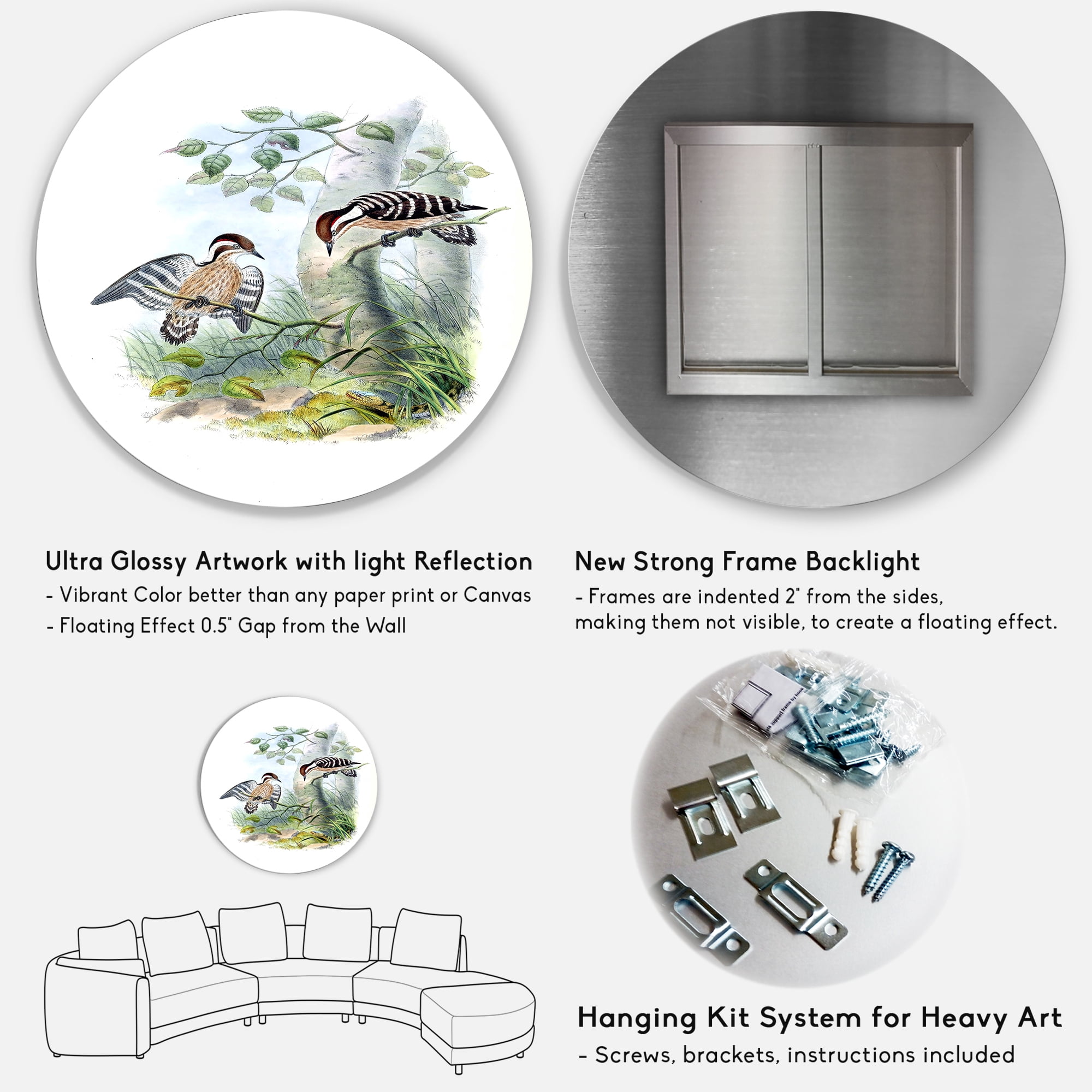 Designart 'Ancient Birds In The Wild I' Traditional Circle Metal Wall Art 36x36 - Disc of 36