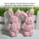 thumbnail image 4 of Advancent Mini conejos articulados para el hogar, colgante de conejito de peluche resistente al desgaste para llavero, regalos de muñecas, cumpleaños, Kits de decoración para fiestas Rosa 6cm Advancent HA061951-01B, 4 of 6