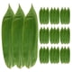 thumbnail image 1 of Hojas de bambú XCF para decoración de sashimi sushi 100 hojas, 1 of 2