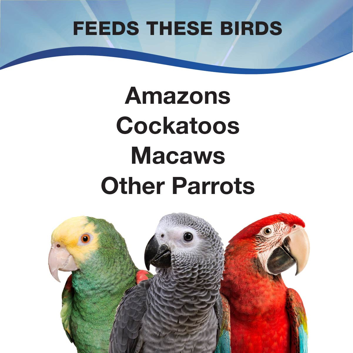 3d premium parrot food