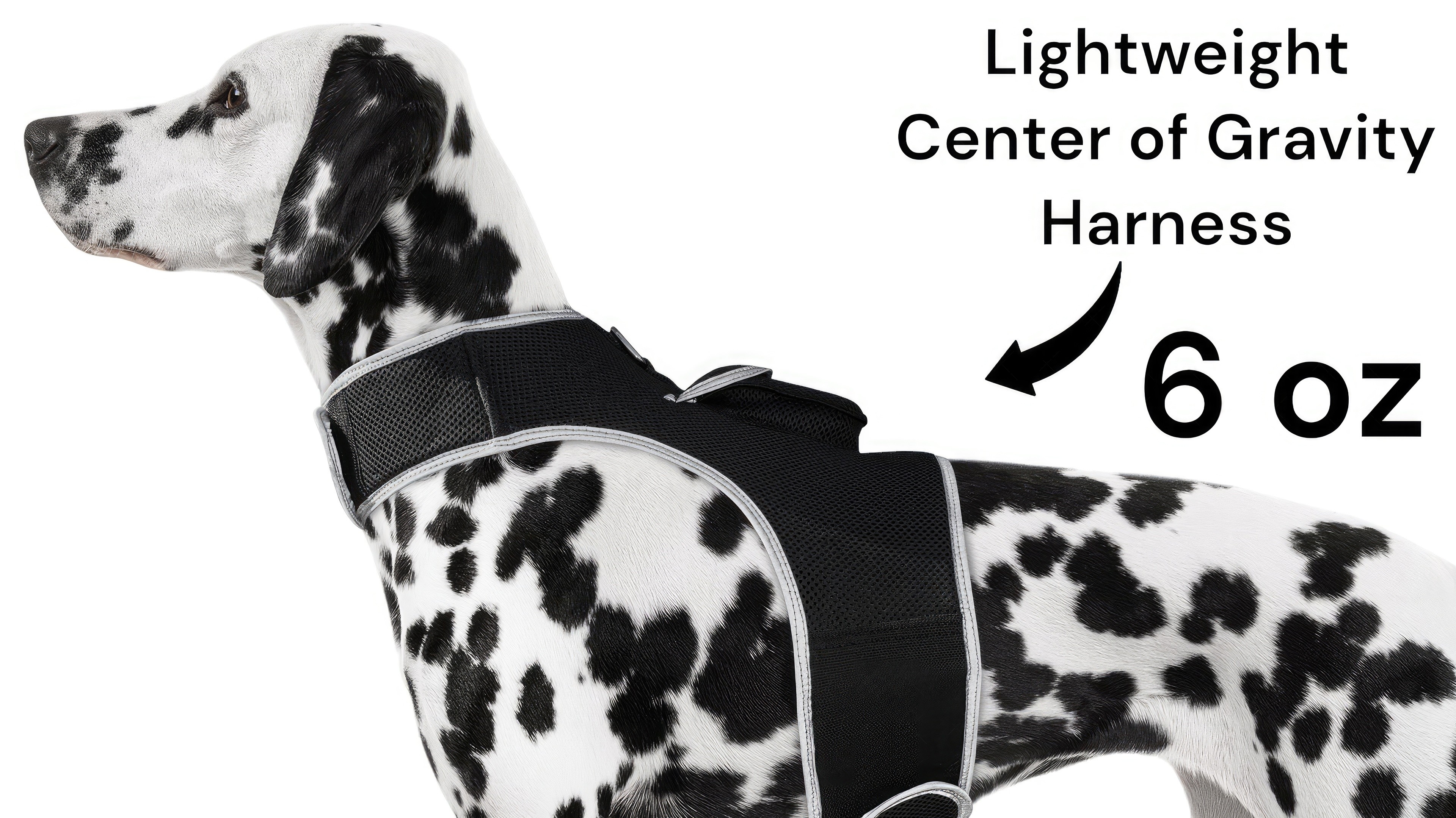 NEW GPS GSM Realtime Dog Tracking System Waterproof Collar Pet Tracker Size:XS