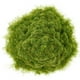 thumbnail image 5 of bolsa de musgo artificial para micropaisaje, decoración de musgo artificial, musgo decorativo para jardineras, césped artificial, musgo falso, decoración de utilería., 5 of 7
