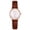 Brown, variant on YZZZJZQL Watch For Women Casual Arabic Numbers Leather Analog Quartz Watch Waterproof Watches Blue