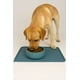 thumbnail image 1 of Tapete Antiderrapante de Silicona para Comedero de Perros, 1 of 4