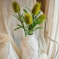thumbnail image 5 of Faux Banksia Integrifolia Faux Flower 28" Tall Silk, 5 of 9