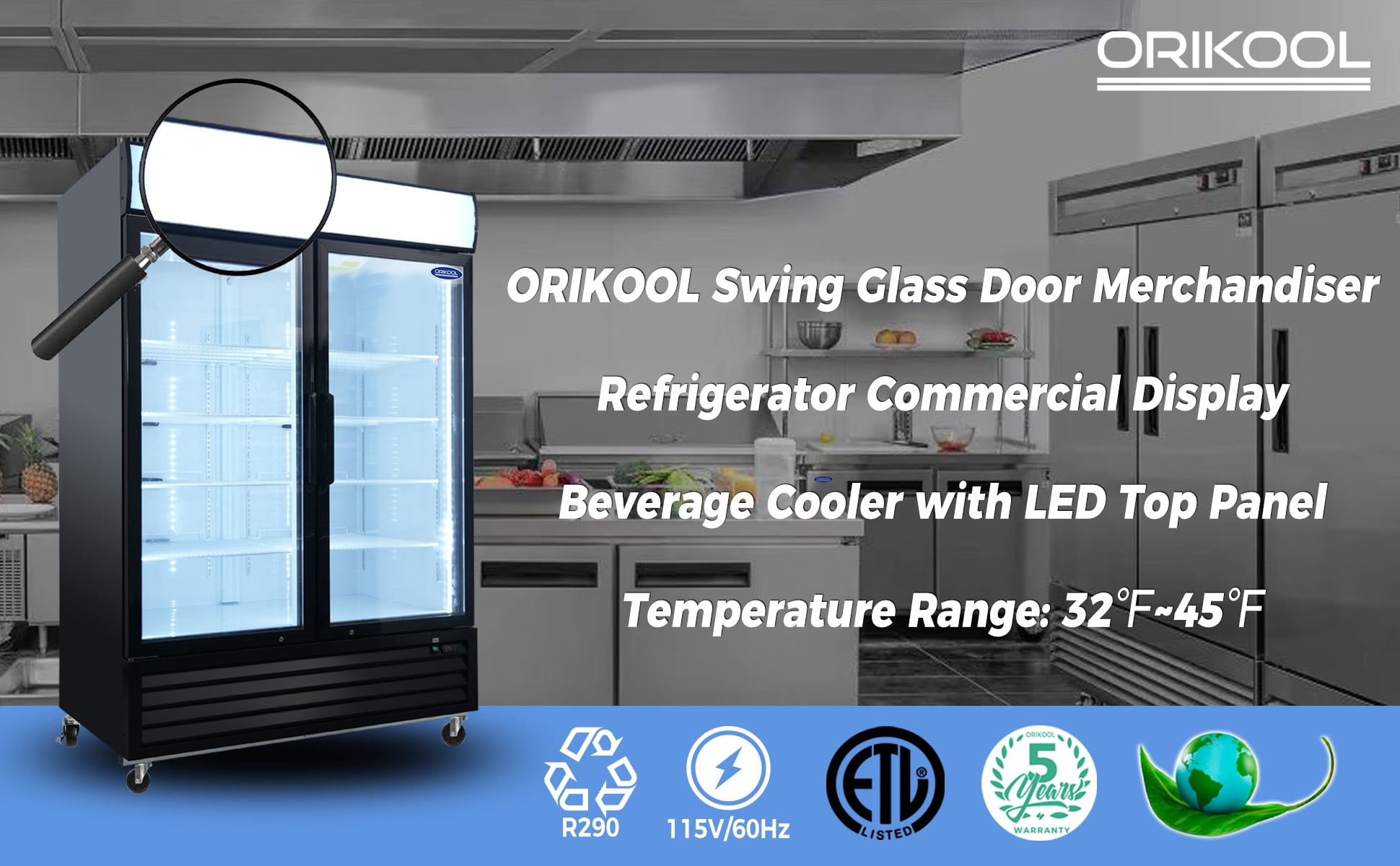 Danolapsi Glass Door Merchandiser Refrigerator 44.7 Cu.ft/19.3 Cu.ft/70 Cu.ft Swing Door Commercial Display Refrigerators Merchandising Refrigeration with LED Top Panel