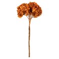 thumbnail image 1 of Vickerman H1HYD750 Tiges d'Hortensia d'Automne de 15 à 18 Po, 1 of 1