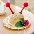 thumbnail image 5 of Happy Date Dog Sombrero Hat Multicolor Sombrero Party Hats Straw Mexican Hat for Party Decorations, 5 of 6