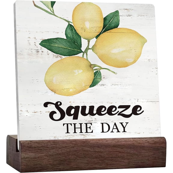 Funny Kitchen Ceramic Table Sign Desk Decor Squeeze The Day Lemon Ceramic Desk Signs With Quotes Rustic Sign For Home Kitchen Shelf Table Decoration