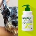thumbnail image 5 of Champú Douxo S3 SEB Relief Seborrea para perros y gatos, 500 ml, 5 of 5