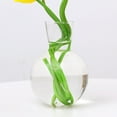 thumbnail image 2 of Clear Glass Flower Planter Vase Terrarium Container Micro Landscape Home Decor, 2 of 8