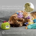 thumbnail image 6 of Pawsible 5 Pack Colorful Cactus Cat Toy Set, 100% Premium Cat Herb Filling, Natural Stimulation for Cats, Soft Teething Toys, Perfect Kitten Toys, 6 of 8
