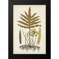 thumbnail image 2 of Vision Studio 13x18 Black Modern Framed Museum Art Print Titled - Fern Botanical I, 2 of 5