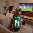 thumbnail image 4 of Summer Breathable Pet Jersey, Sport Style Pet Apparel for Dogs, Cute Fan Themed Outfit for Daily Wear, 4 of 5