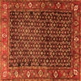 thumbnail image 1 of Ahgly Company Indoor Square Persian Orange Traditional Area Rugs, 6' Square, 1 of 1