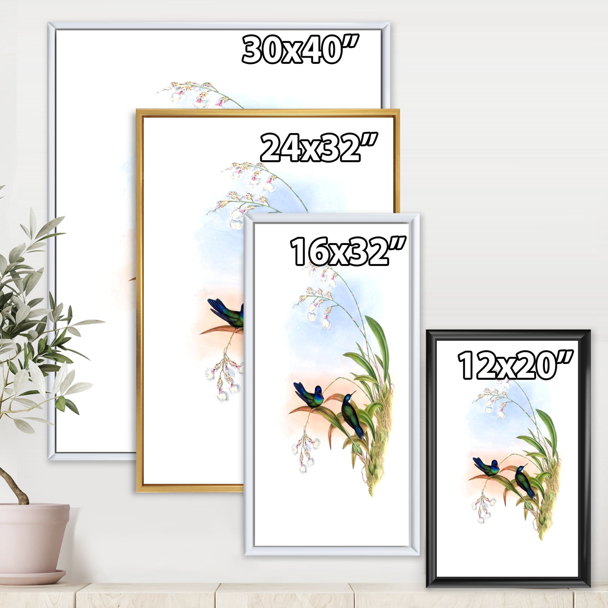 Designart 'Ancient Hummingbird III' Traditional Framed Canvas Wall Art Print