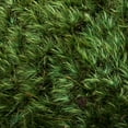 thumbnail image 3 of Vickerman Premium Green Mood Moss, Preserved, 3 of 7