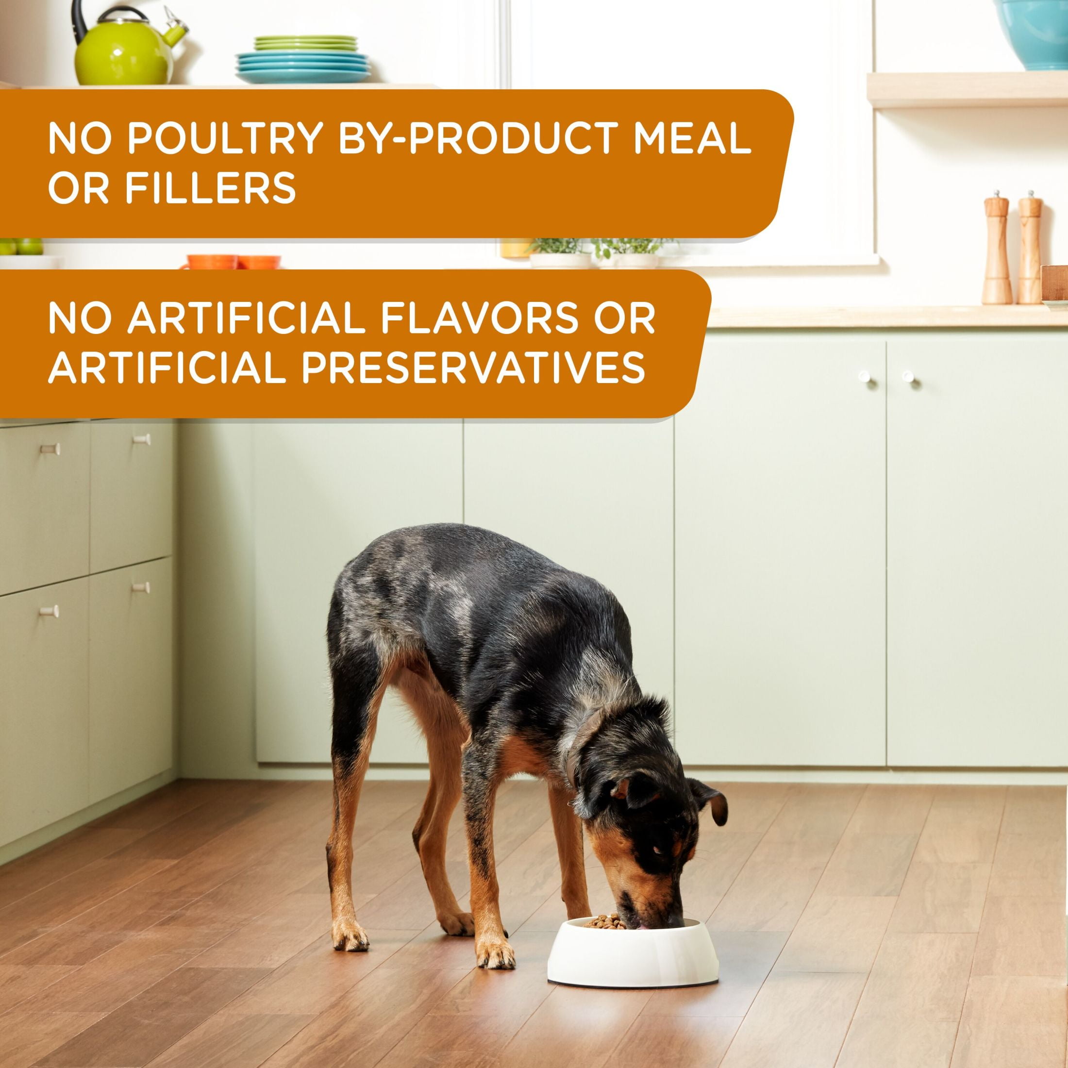 Nutrish weight control dog food hotsell