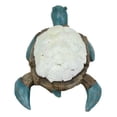 thumbnail image 4 of Nautical Sea Turtle With White Clam Shells In Faux Distressed Wood Finish Statue, 4 of 4