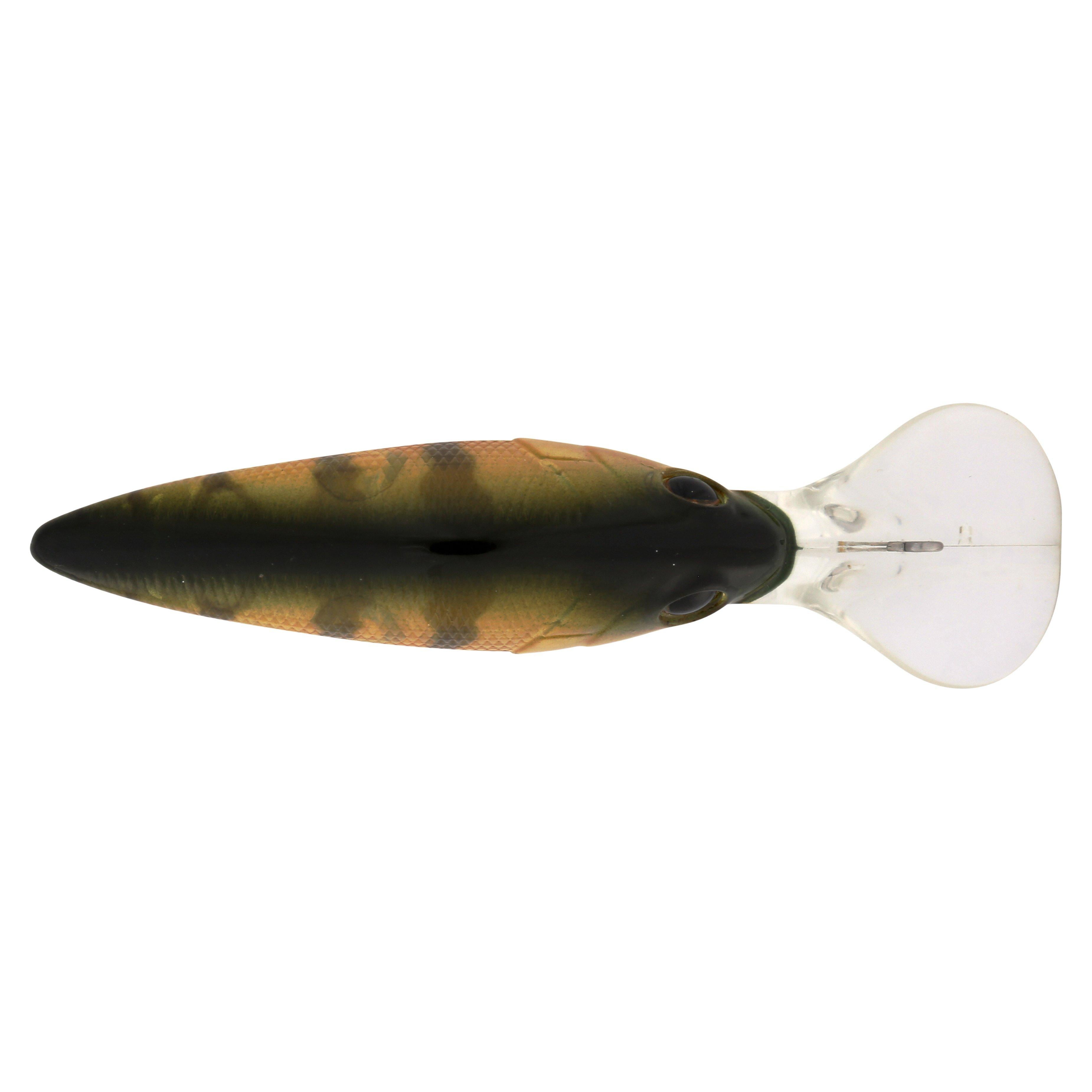 Berkley Money Badger, 5, Perch