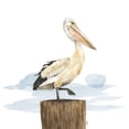 thumbnail image 3 of Reed, Tara 12x12 Black Modern Framed Museum Art Print Titled - Birds of the Coast on White III, 3 of 5