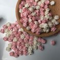 View all media