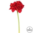 thumbnail image 2 of Vickerman FA173301 Simple Velours Amaryllis Tige Florale Rouge, 2 of 3
