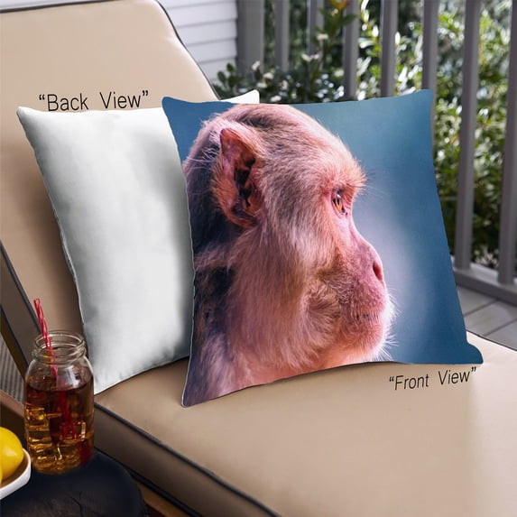 Ahgly Company Animals Monkey Outdoor Throw Pillow, 18 inch by 18 inch
