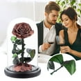 thumbnail image 2 of BNNG Roses Gift For Her Birthday Gifts For Women Colorful Artificial Flower Rose Gift Light Up Rose In A Glass Mom Gifts Unique Love Gifts For Mom Silk Floral Stems Fake Flower Table Centerpieces, 2 of 9