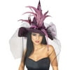 Fancy Purple Witch Hat