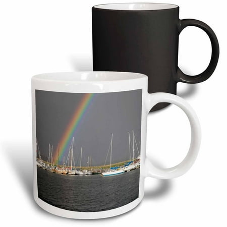

3dRose Dingle Waterfront Ireland Rainbows Boats - EU15 PWA0040 - Patrick J. Wall Magic Transforming Mug 11oz