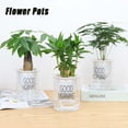 thumbnail image 3 of Balcony Outdoor Garden Supplies Green Dill Succulents Purifying air Auto Irrigate Hydroponic Planters Plant Pot Flower Pots Home Decor A 15CM, 3 of 8
