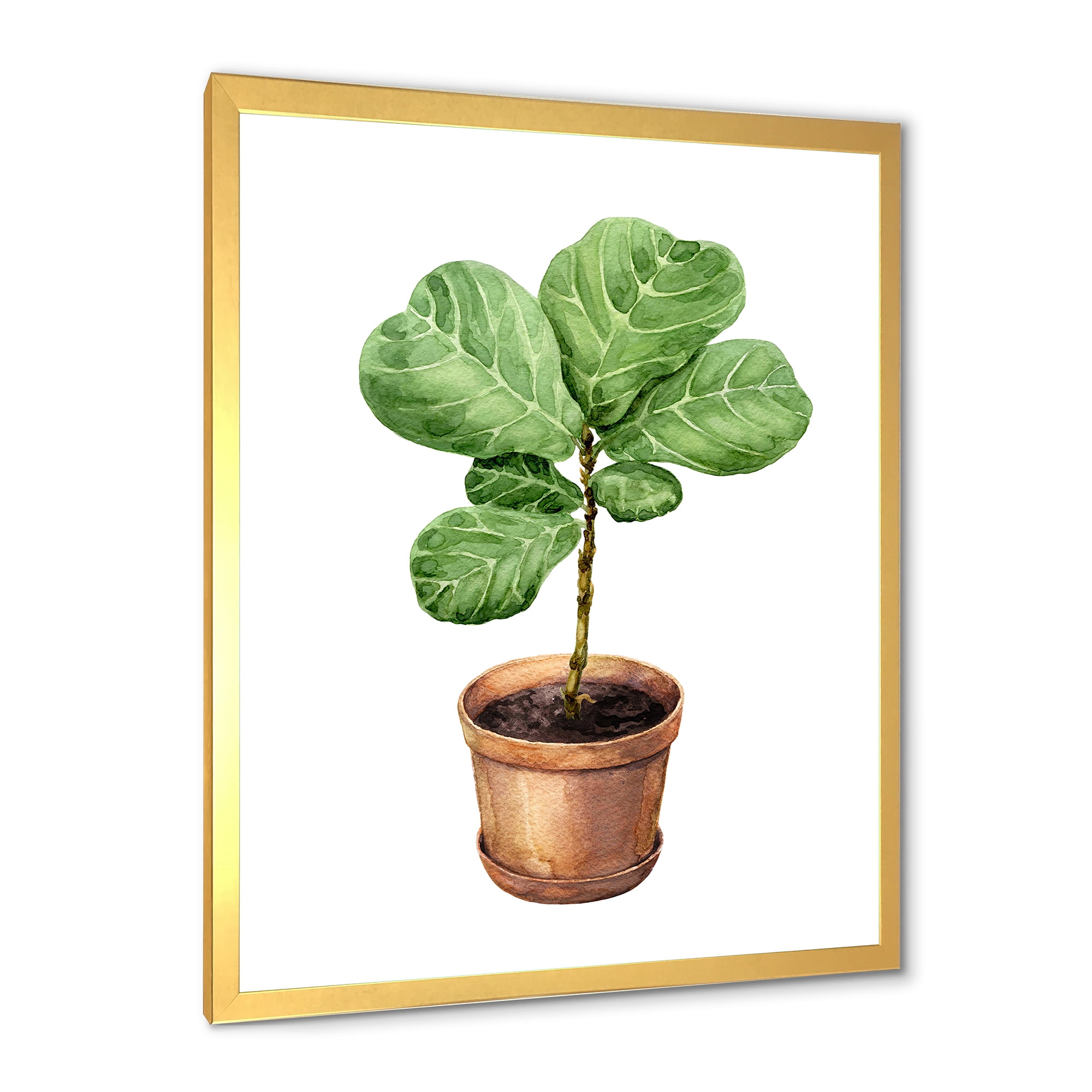 Designart 'Ficus Lyre Plant In Clay Flowerpot' Traditional Framed Art Print