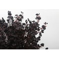 thumbnail image 4 of Babys Breath Silk Artificial Flowers 12 Bundle European Fake Plants Decor Fall Decoration Bouquets DIY Home Garden (Beige Brown-12pcs), 4 of 5