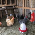 thumbnail image 5 of Chicken Oyster Shell Feeder and Grit Feeder Metal, 5 of 5