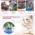 thumbnail image 3 of Bola de pared de hierba gatera para gatos, juguete de boca limpia, promueve la digestión, gatito, dulces, lamer aperitivos, mascota, Bola de menta, accesorios para gatos, 3 of 4