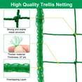 thumbnail image 2 of Garden Plant Climbing Net Trellis Netting Mesh Support Fruits Vine Veggie Bean, 2 of 11