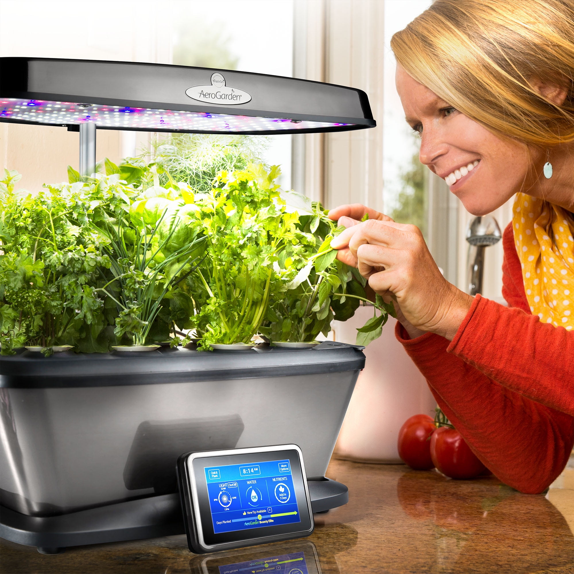 AeroGarden Gourmet Herb Seed Pod Kit (9-pod)
