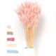thumbnail image 1 of Hierba de conejo flores secas-rosa 60 Adepaton WL-00486, 1 of 1