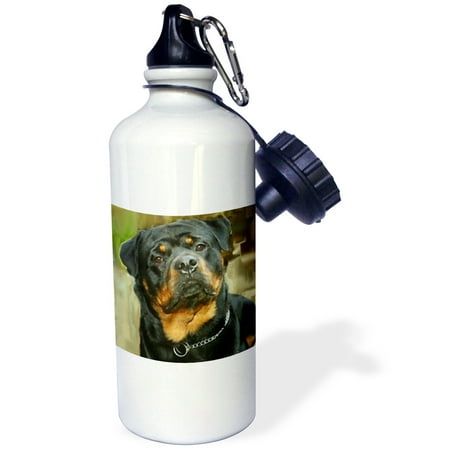 

3dRose Rottweiler Portrait Sports Water Bottle 21oz