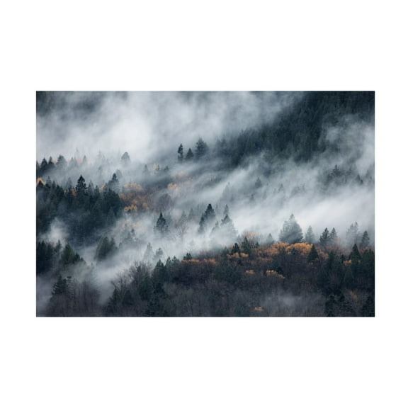 Trademark Fine Art Tomomi Yamada A Path Of The Fog Canvas Wall Art