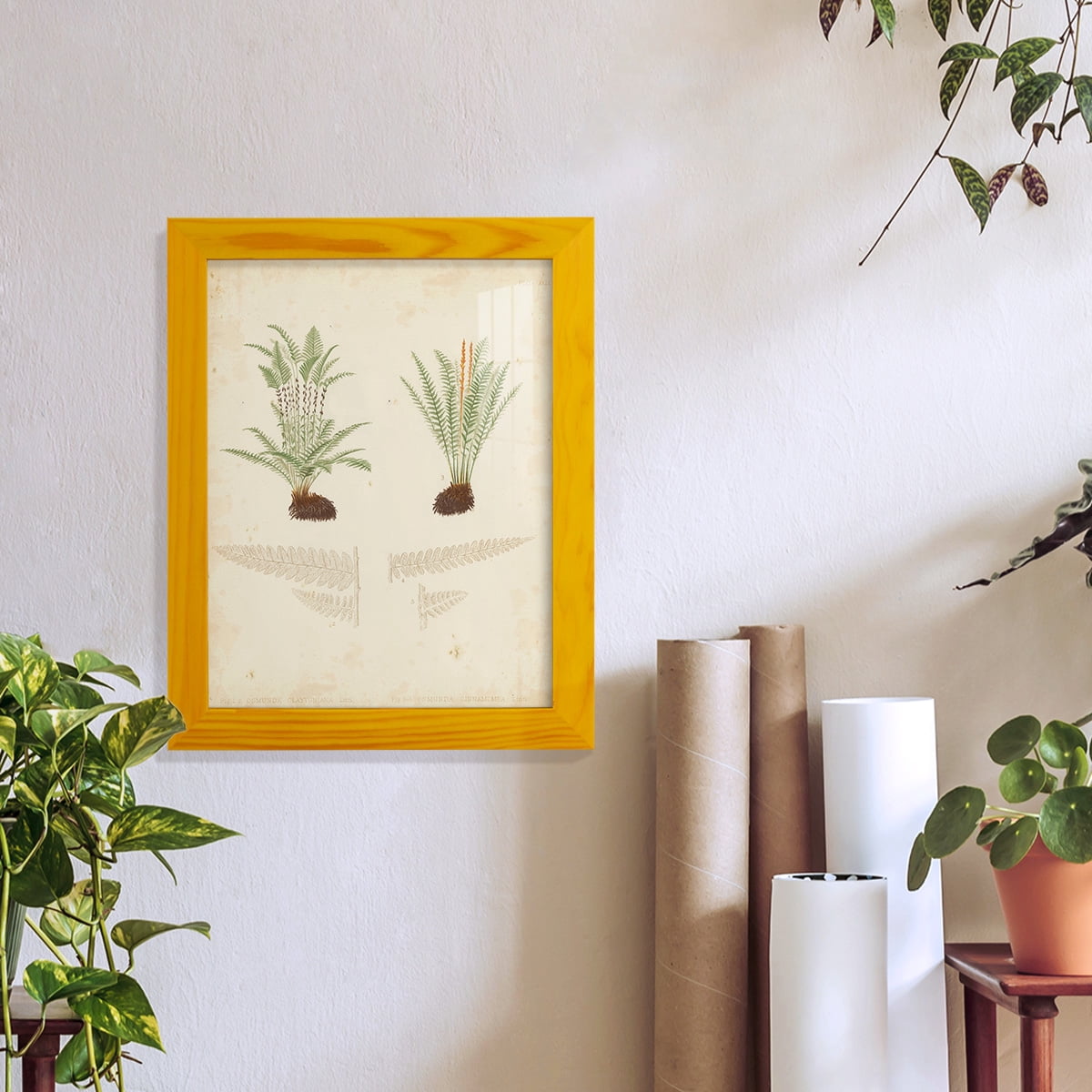 Fern Study III -Framed Print w/glass-Sunflower Yellow