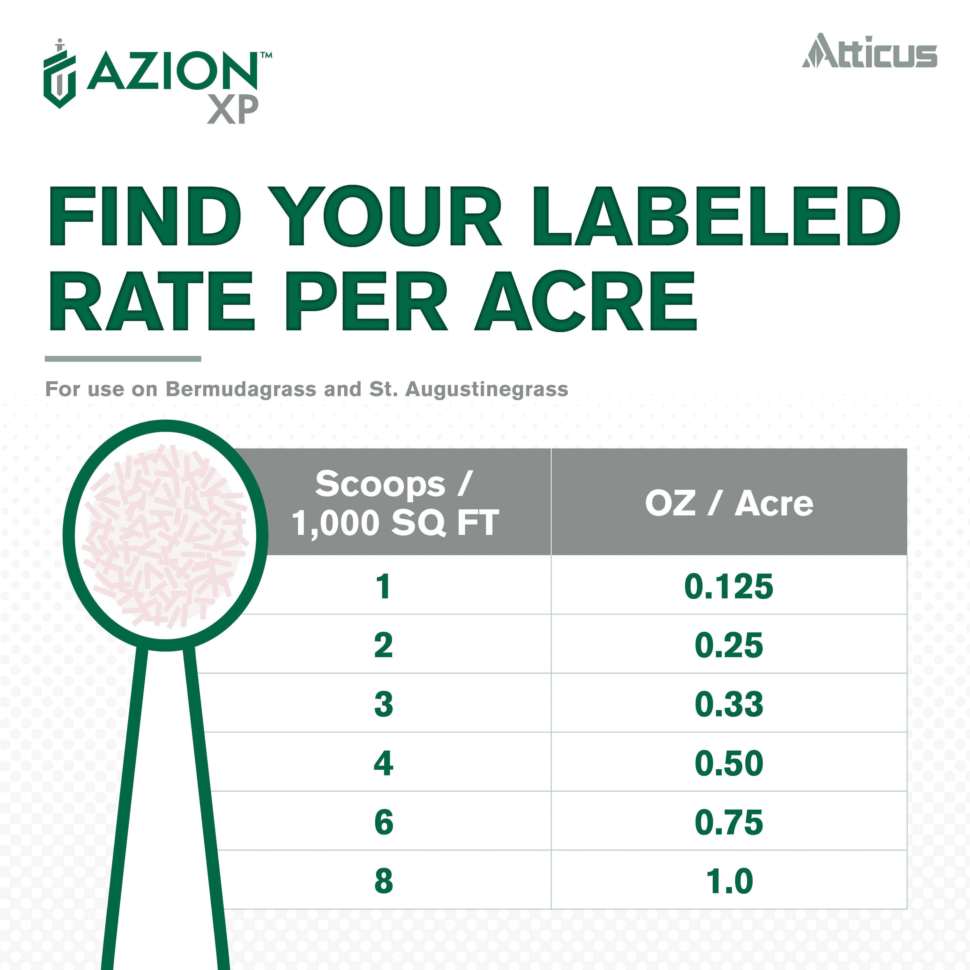 Azion XP MSM Turf Herbicide (16 oz) - Selective Postemergence Weed and Brush Control, Metsulfuron Methyl 60% by Atticus
