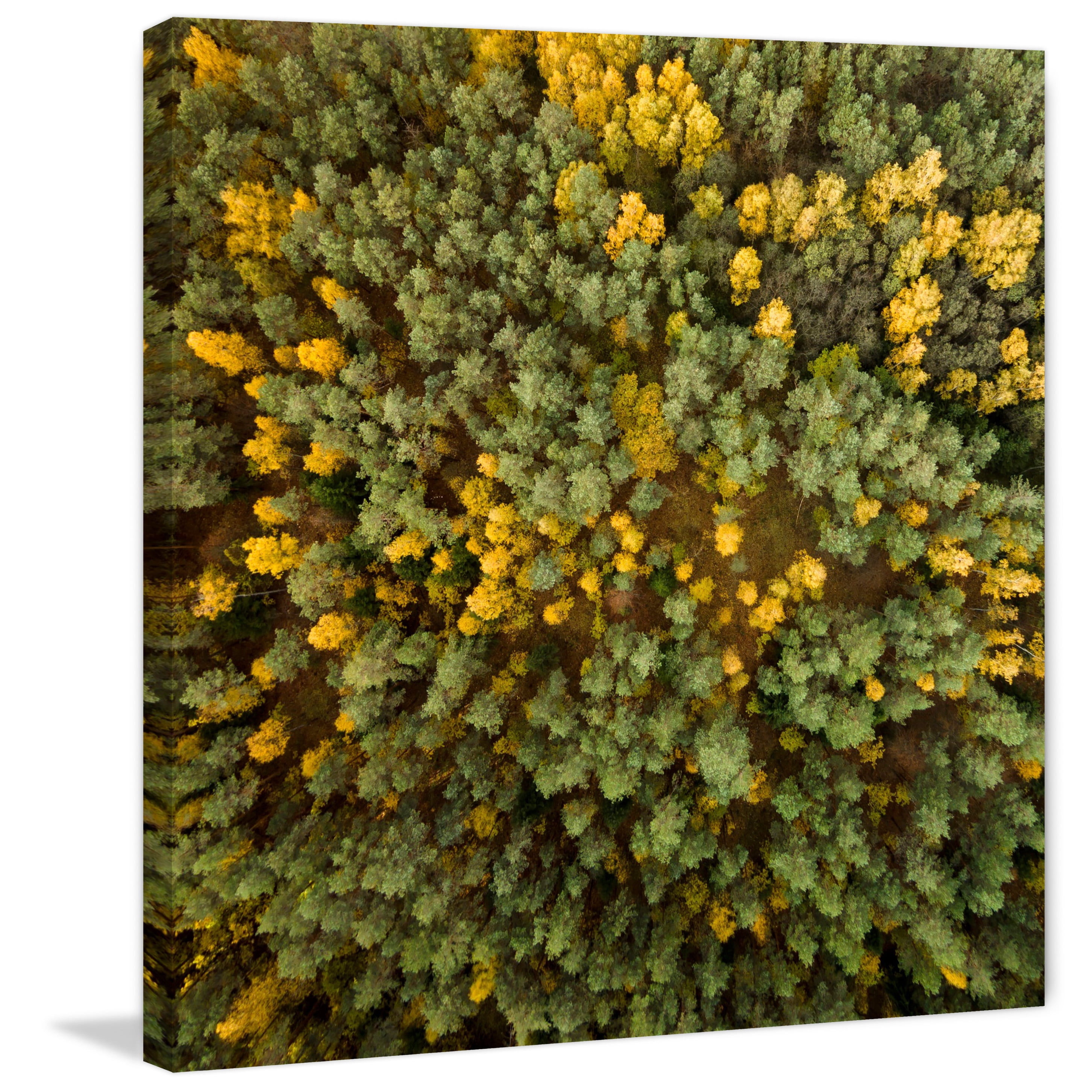Marmont Hill "Yellow and Green Trees" by Karolis Janulis Painting Print on Wrapped Canvas