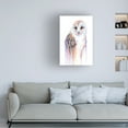 thumbnail image 2 of Michelle Faber 'Barred Rainbow Owl' Canvas Art, 2 of 4